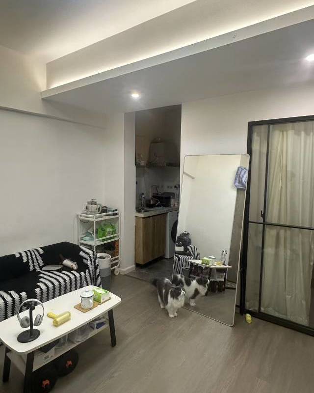 Shenzhen Longgang | 深圳莱寓公寓_3