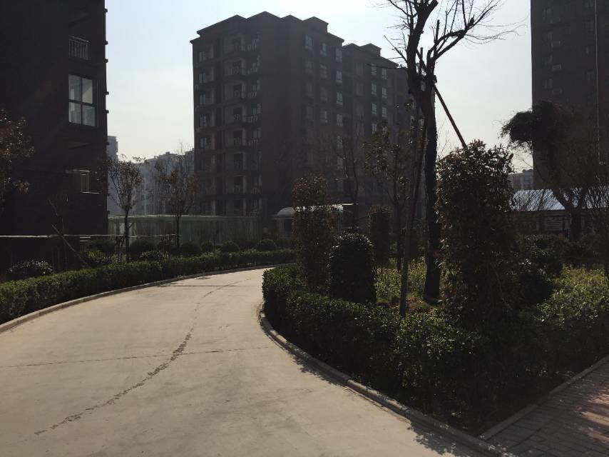 Zhengzhou Jinshui | 九锦台-B区_4