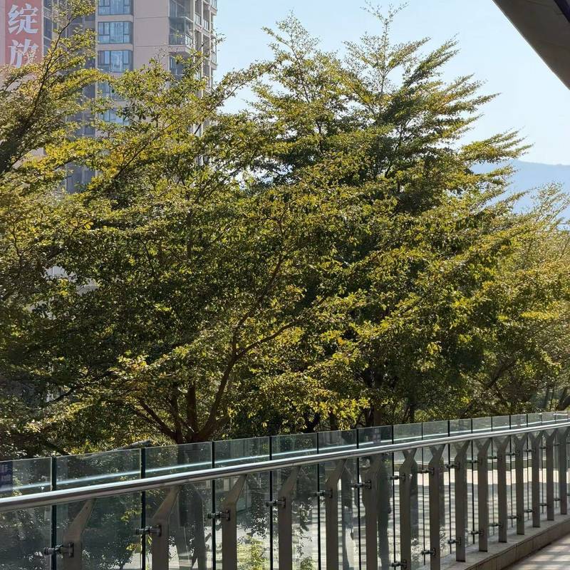深圳 龍崗 | 荣德雨辰公寓-B座_4