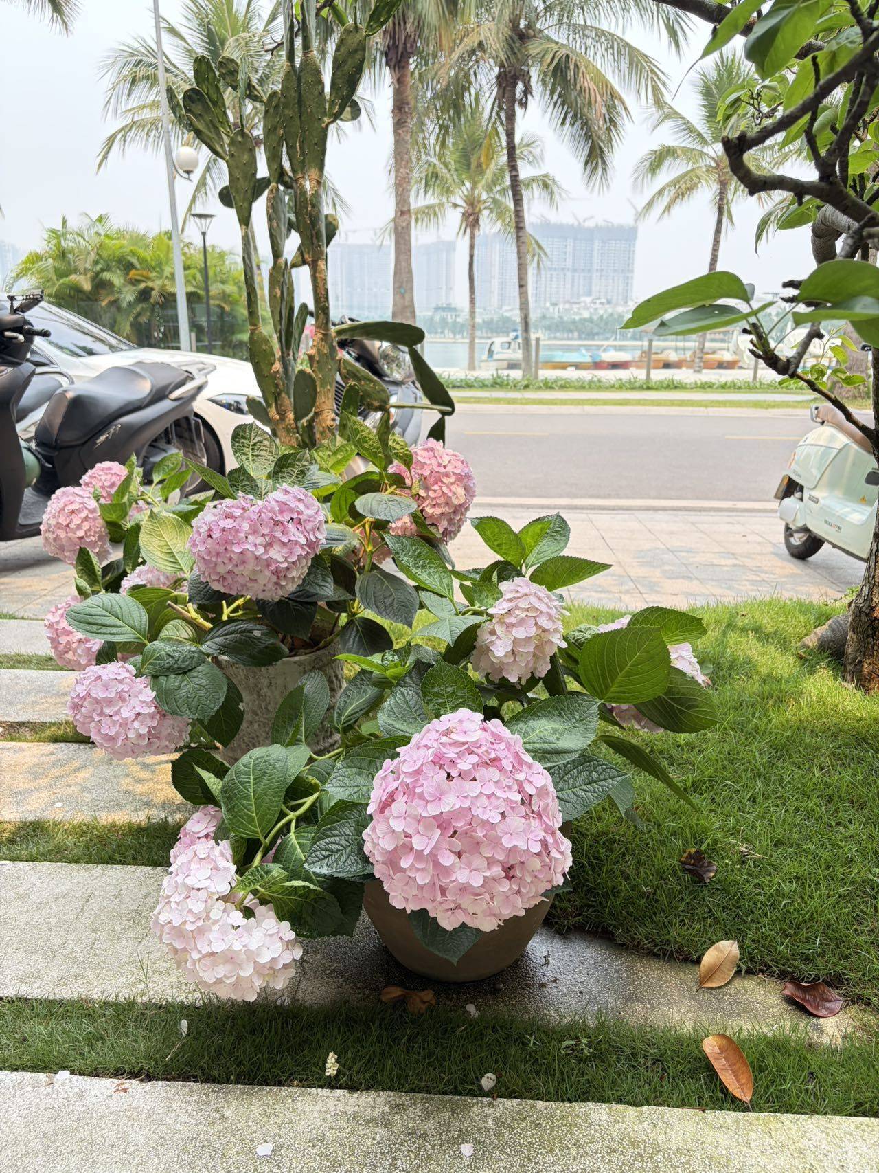 上海 长宁 | 上海领尚国际酒店公寓(虹桥宋园路店)_8