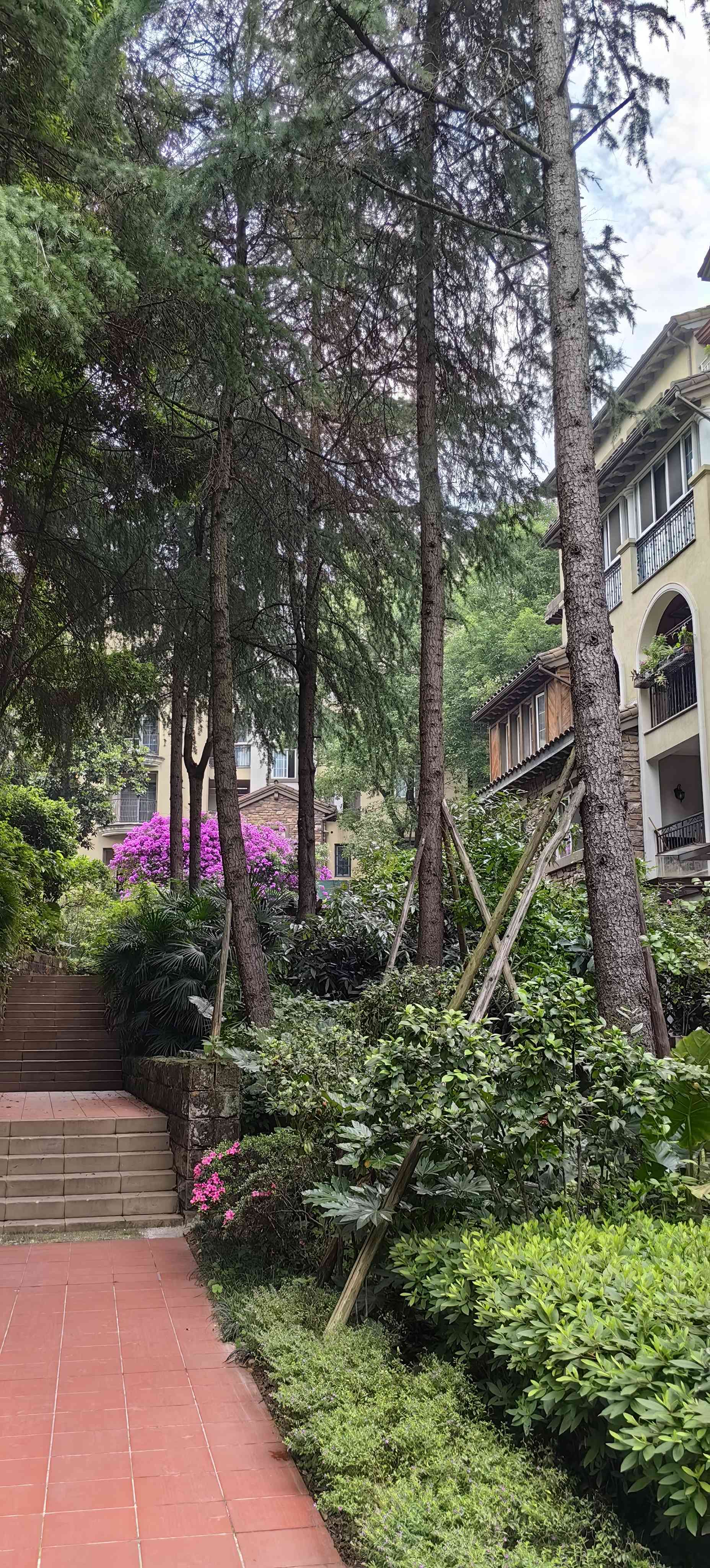 Liangjiang New Area 弗莱明戈好望山