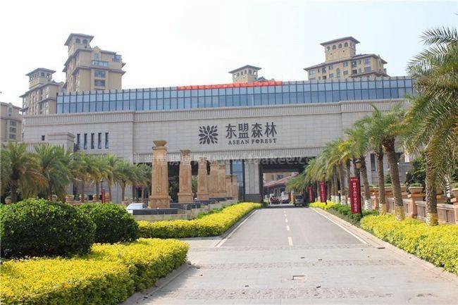 Kunming Chenggong | 东盟森林B区_6