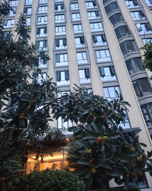 Chengdu Pidu | 菁蓉滨湖湾广场_7