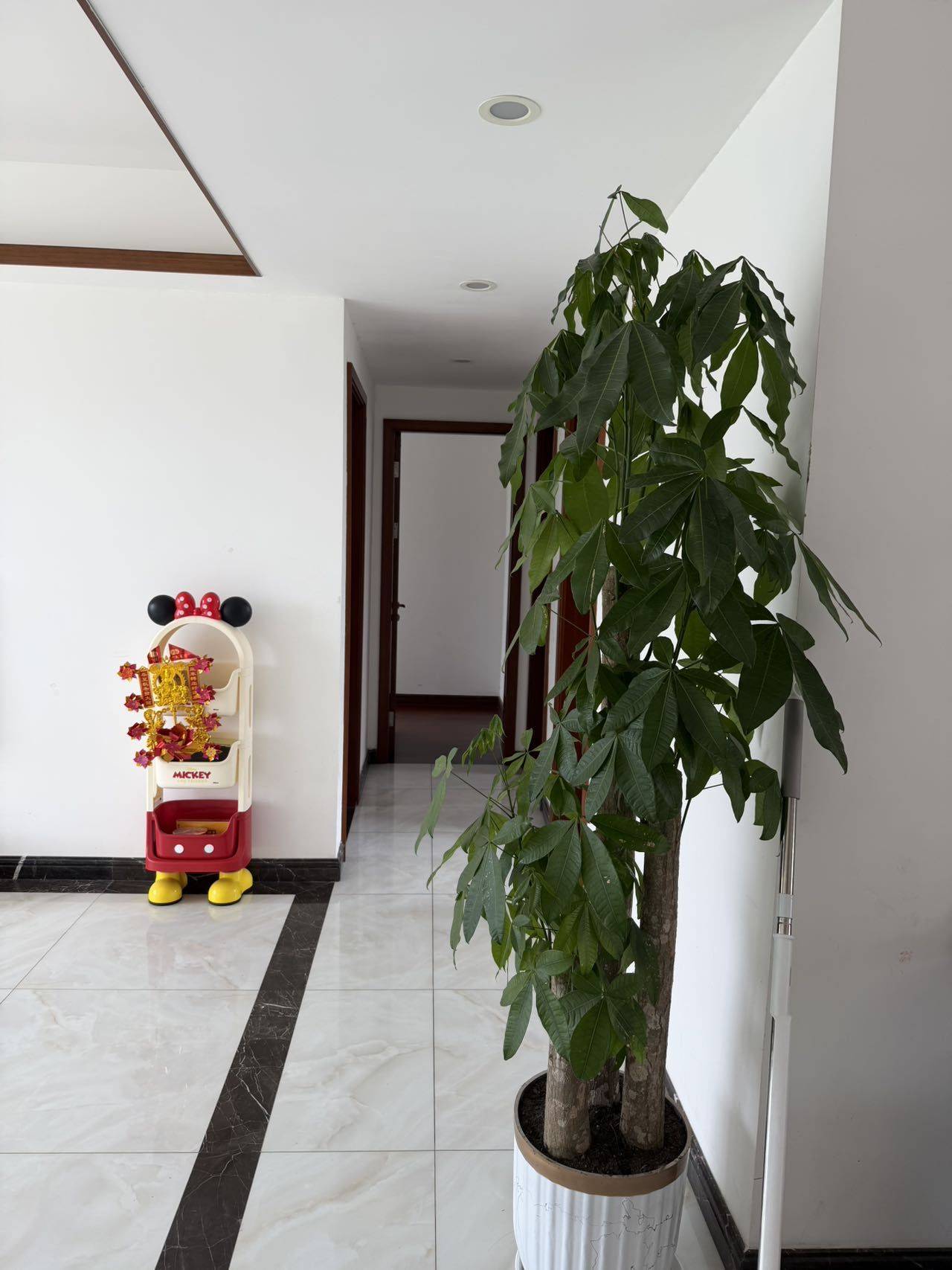 陈配整租房源1