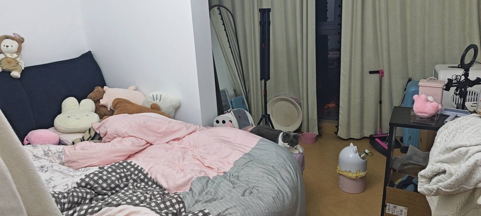 胖熊整租房源1