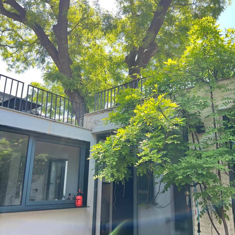 北京 东城 | 大菊胡同小区_4