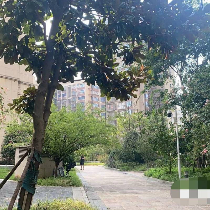 長沙 岳麓 | 丰禧园_8