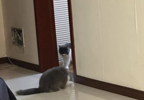 碑林 晶筑逸品小区