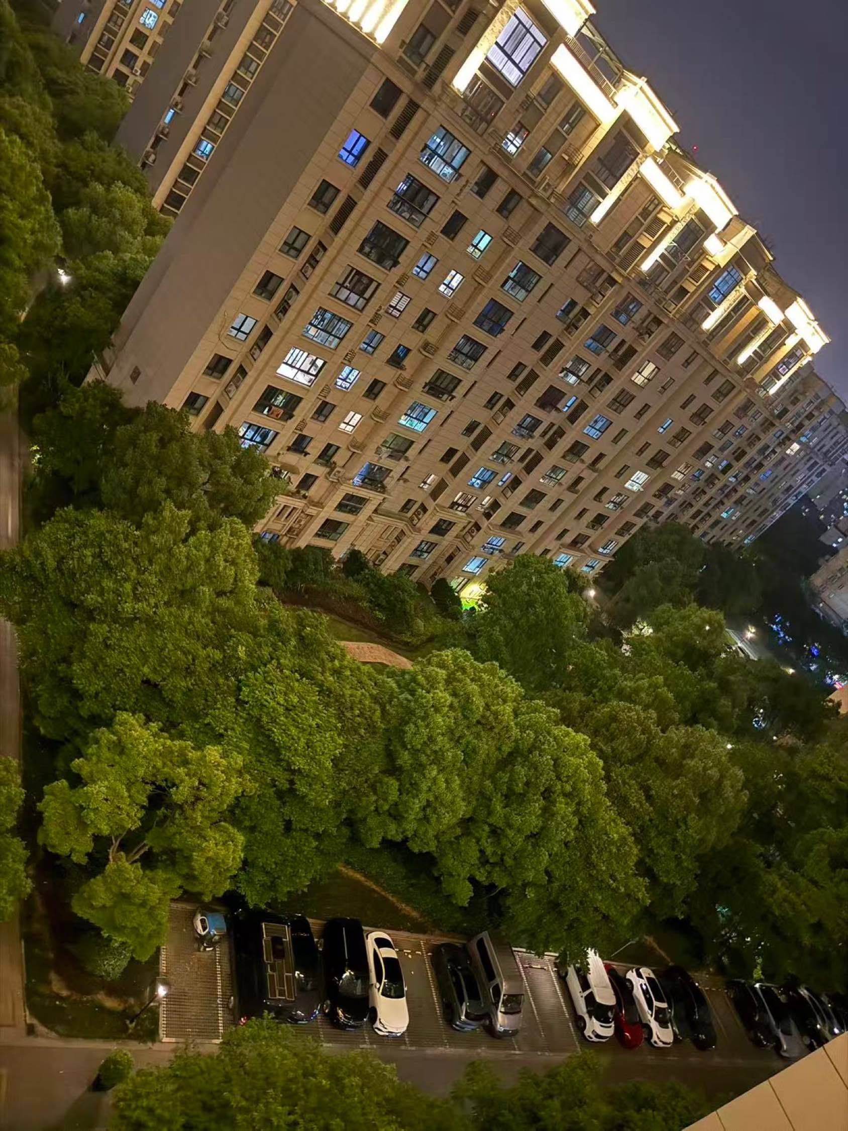 上海 闵行 | 金鹰华庭_7