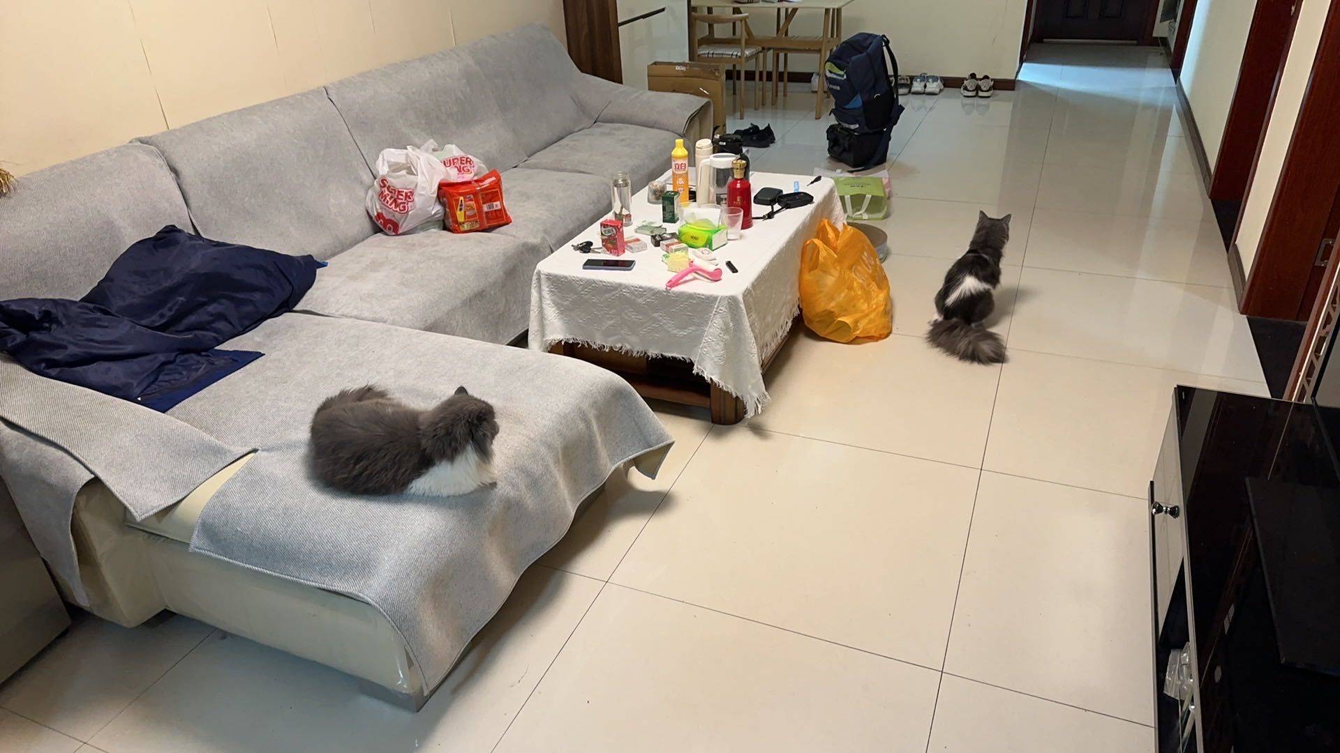 碑林 晶筑逸品小区