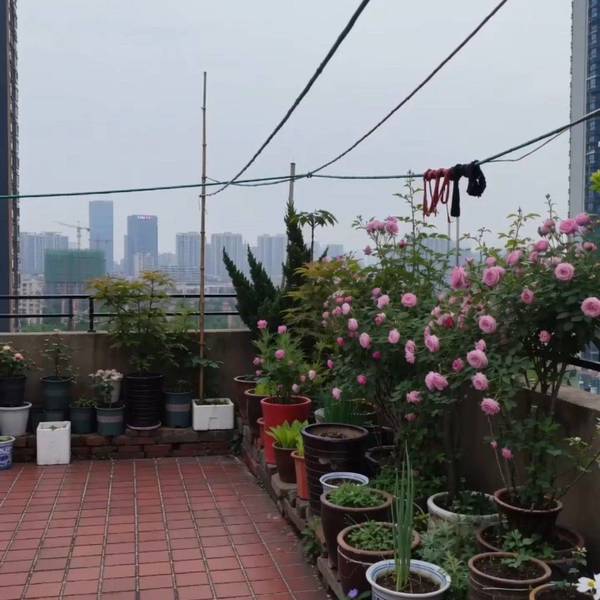流行整租房源1