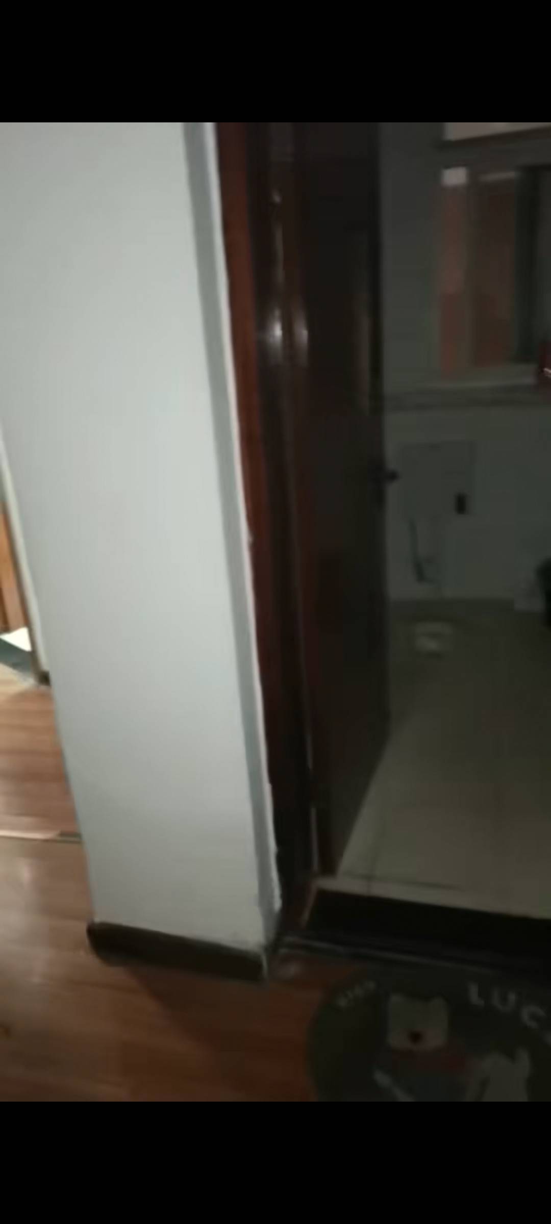 络腮胡兔子整租房源2
