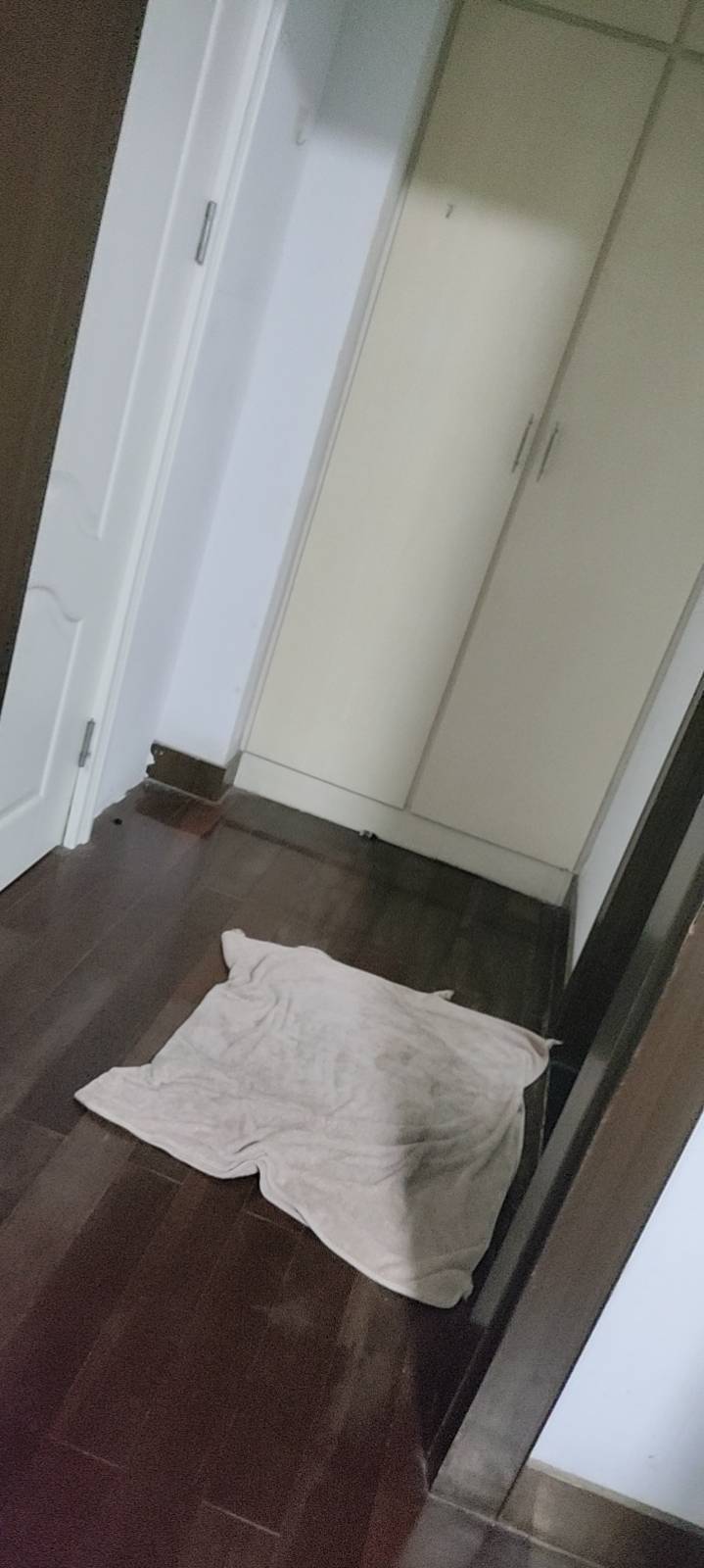茜整租房源3