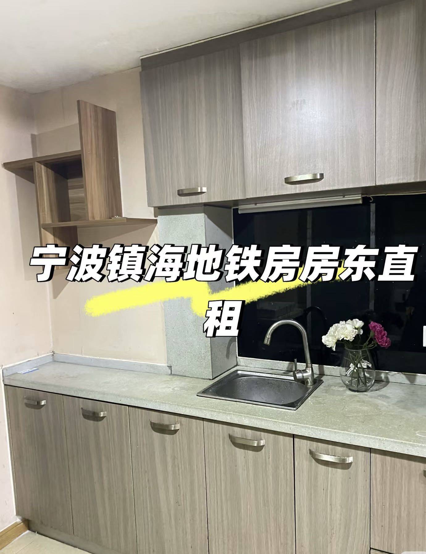 镇海 郁金香中心