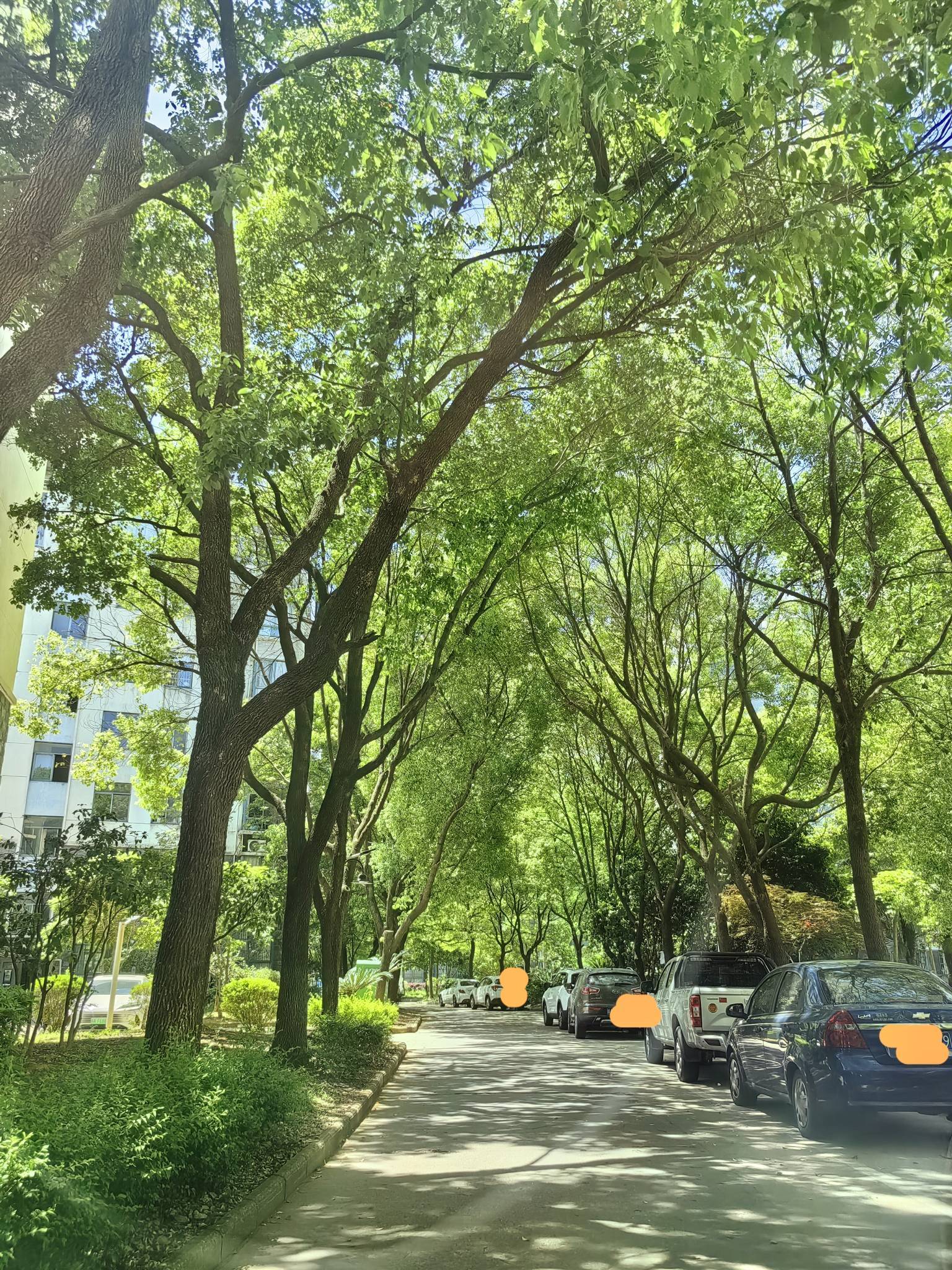 理想家园整租房源3
