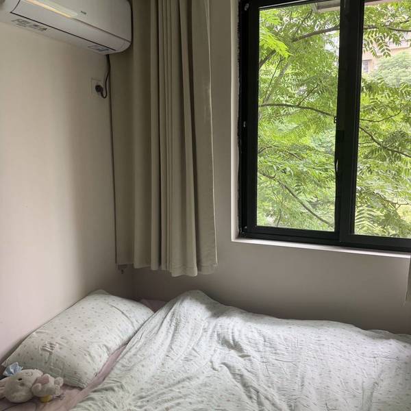 momo整租房源1