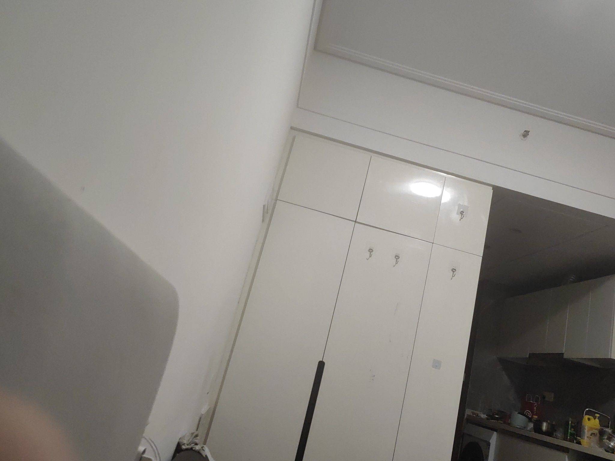 大笨猪整租房源2