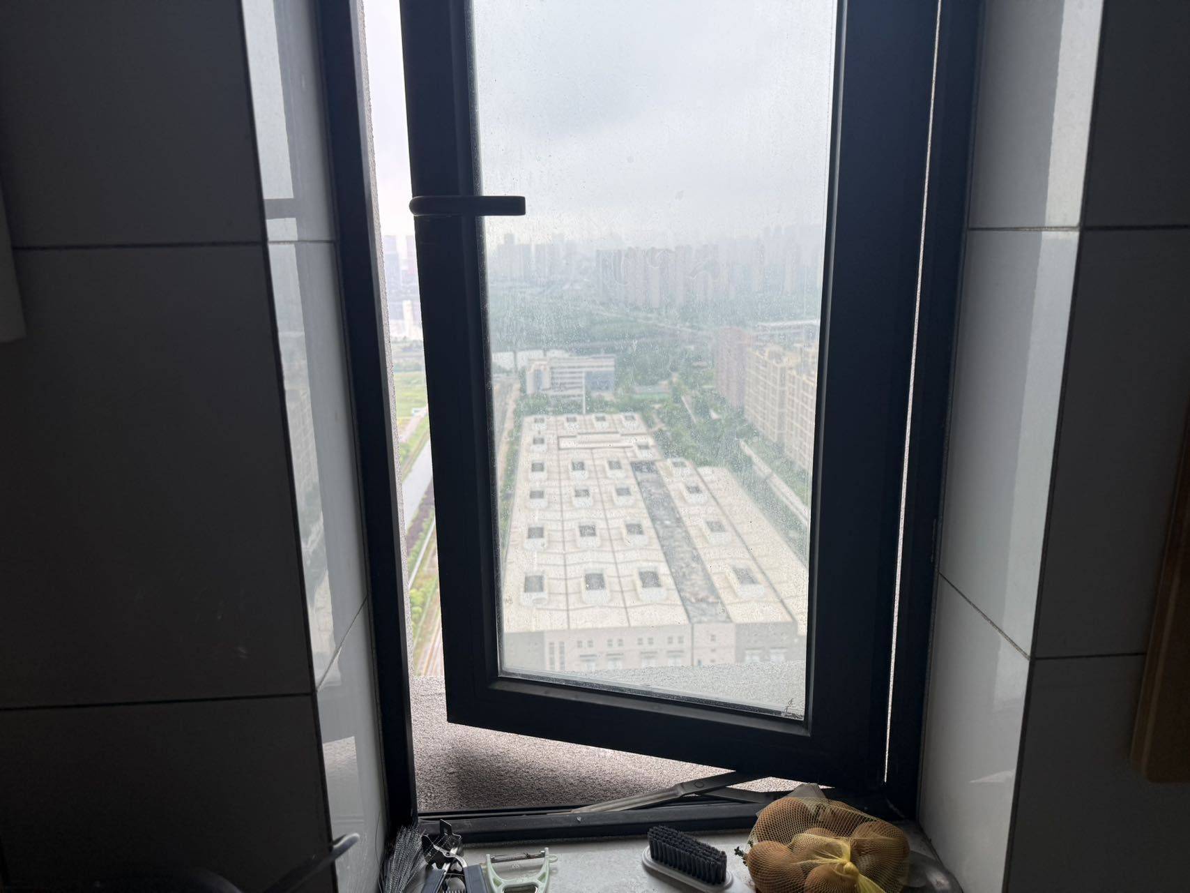 东西湖 地铁时代·常青城