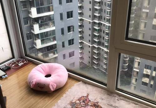 江汉 鑫城国际润雅苑