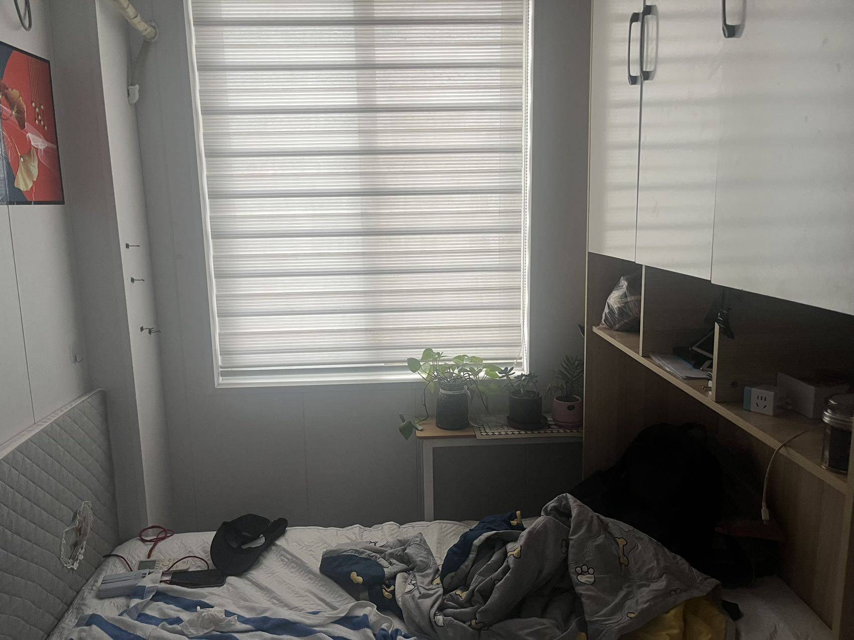 三林新村C出租整租房源1