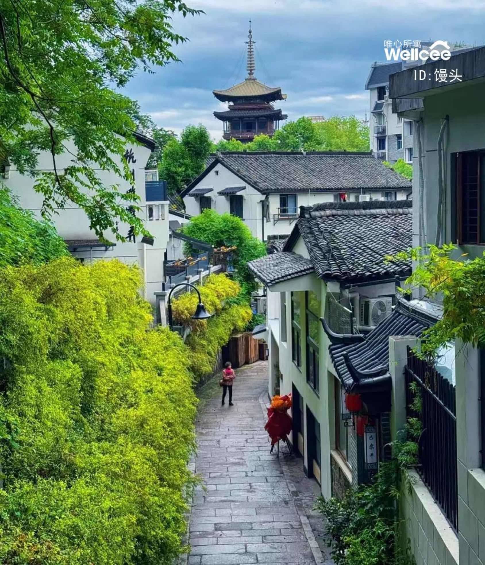杭州 上城 | 茶啾弄_6