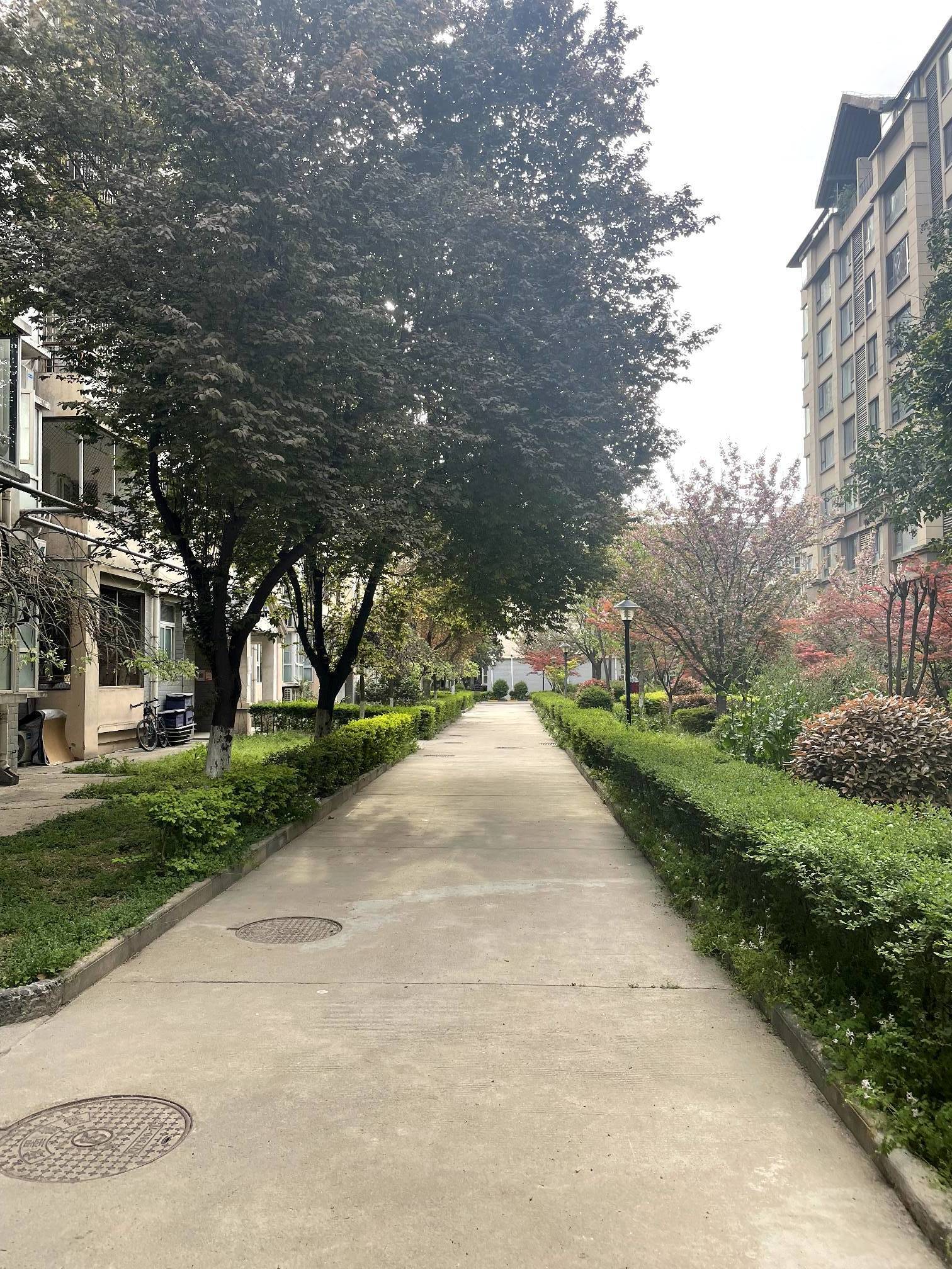 新城 华清学府城-12号楼