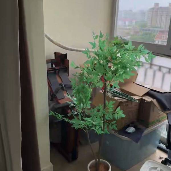 HUA整租房源1