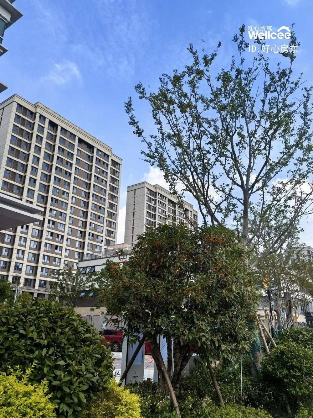 房东直租整租房源1