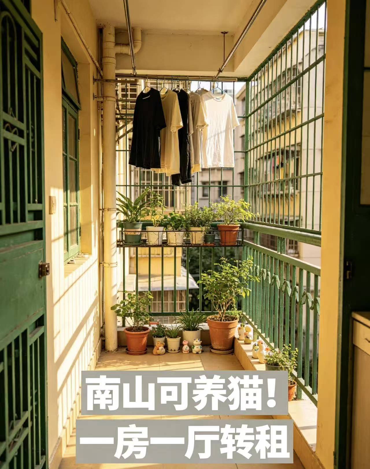谁整租房源1