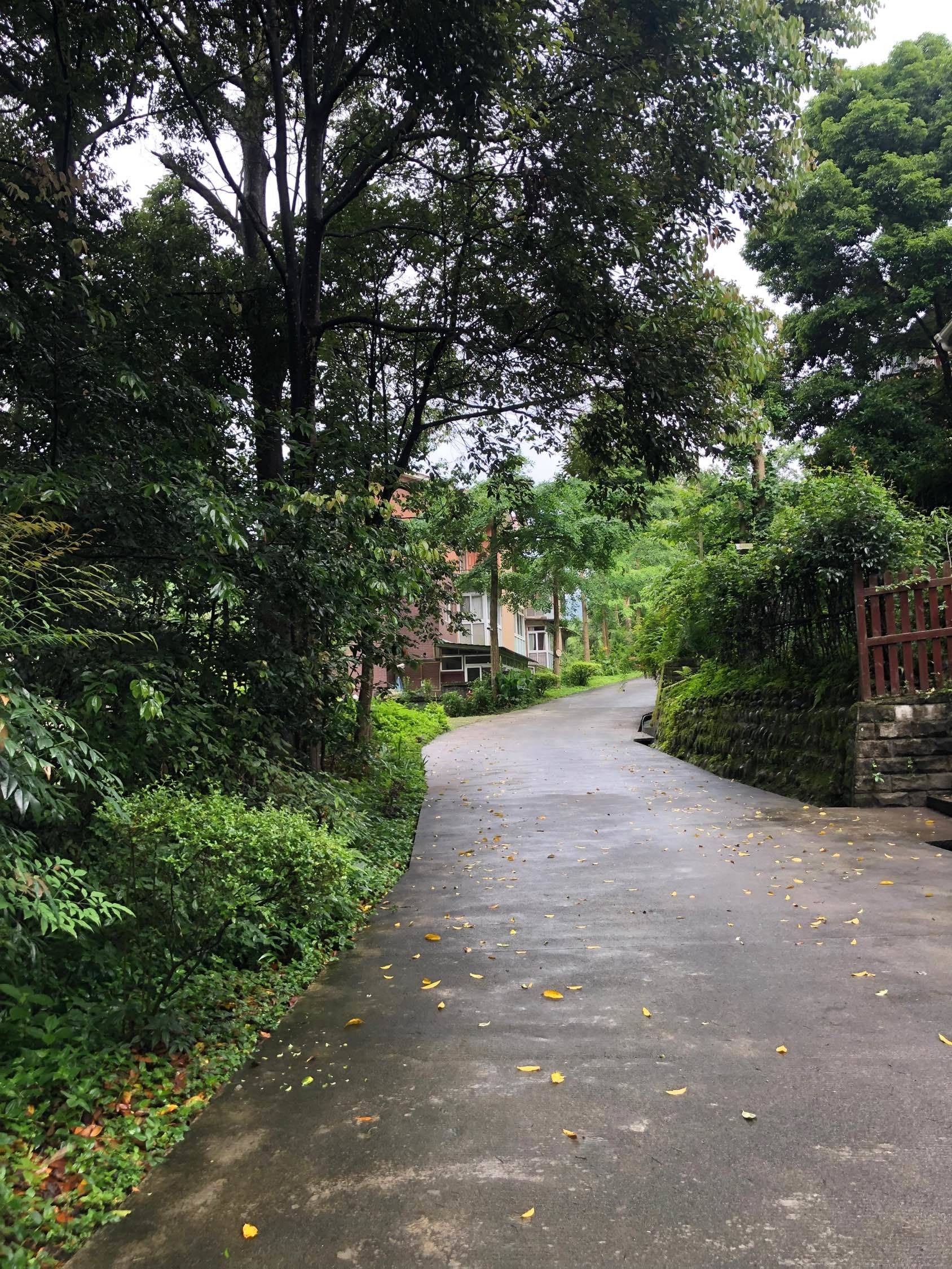 Dujiangyan City 沙沱湾山庄