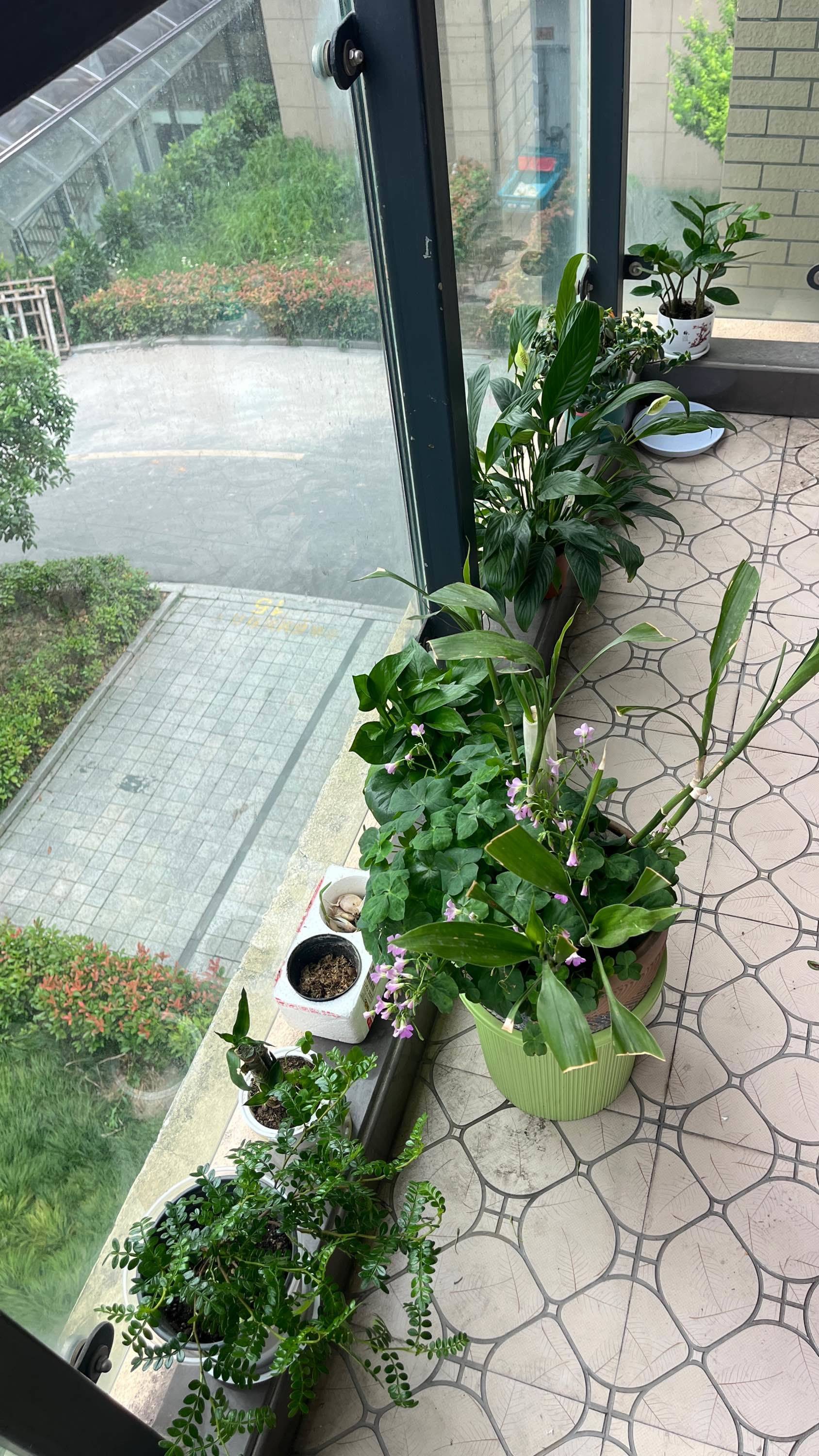 Hangzhou Fuyang | 东洲钱塘家园_7