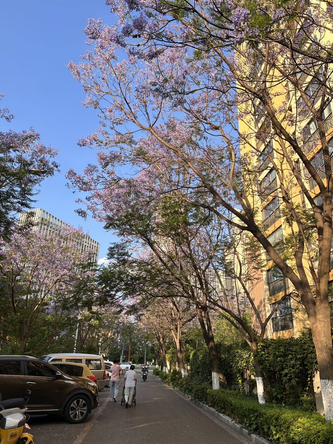 昆明 西山 | 金坤尚城学府里_4