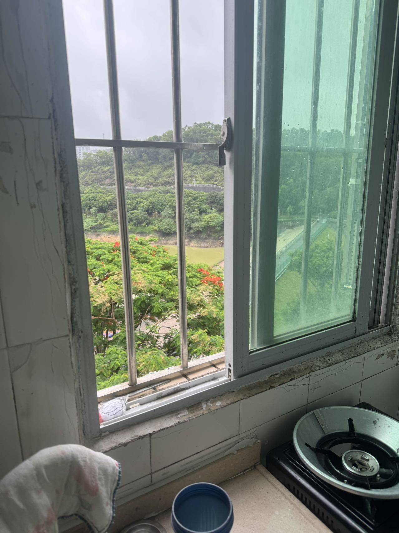 龙岗 后山东一巷-1栋