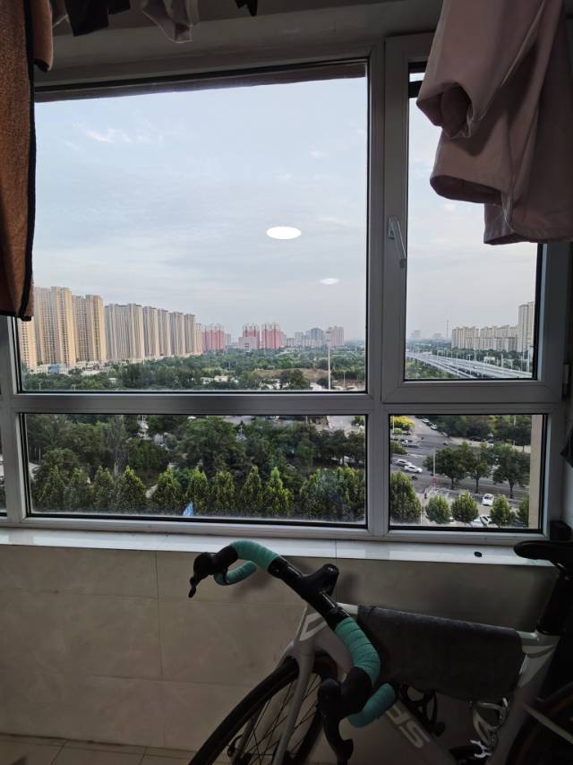 石家庄 裕华 | 南焦新村牡丹园_4