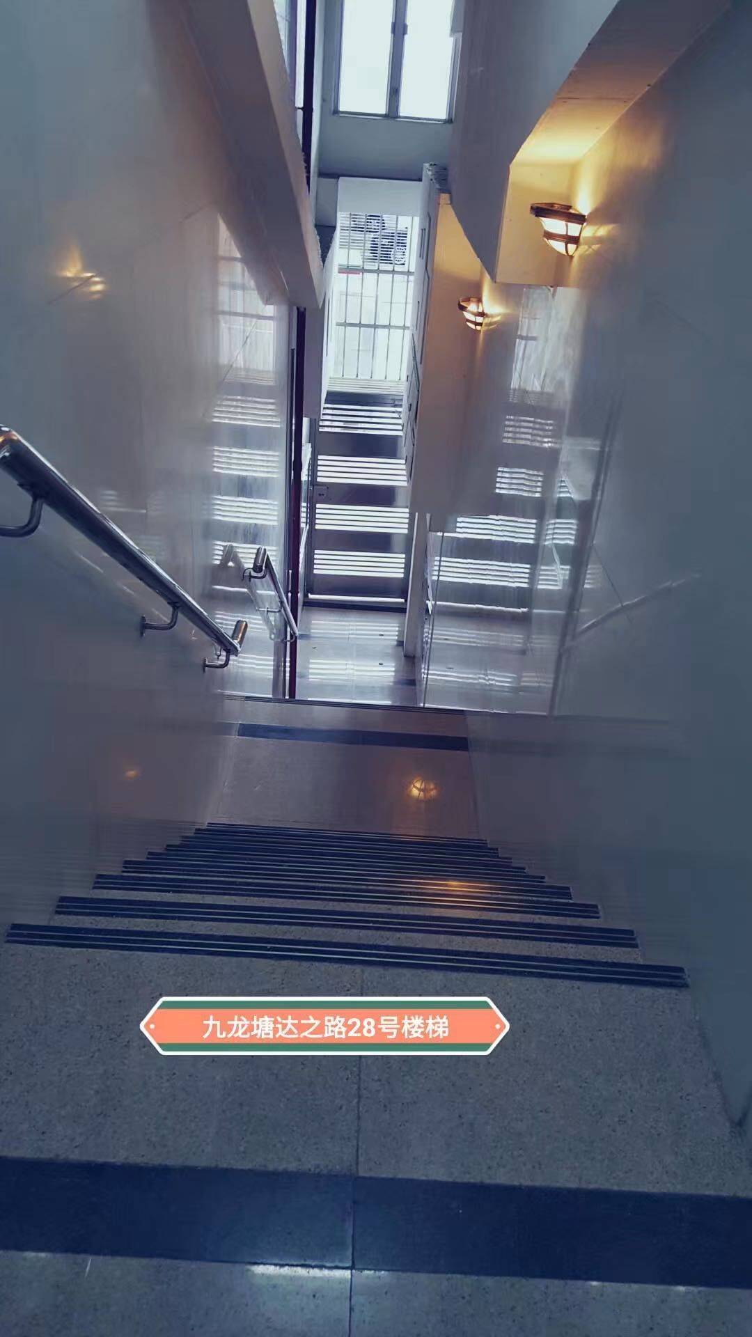 九龙 又一楼