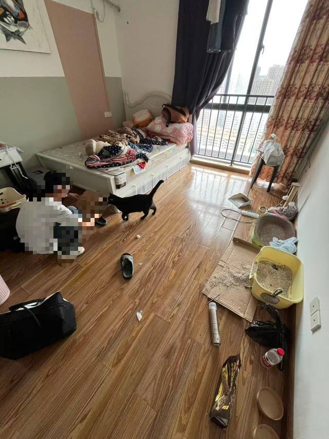 兴宁区 香樟林-10栋
