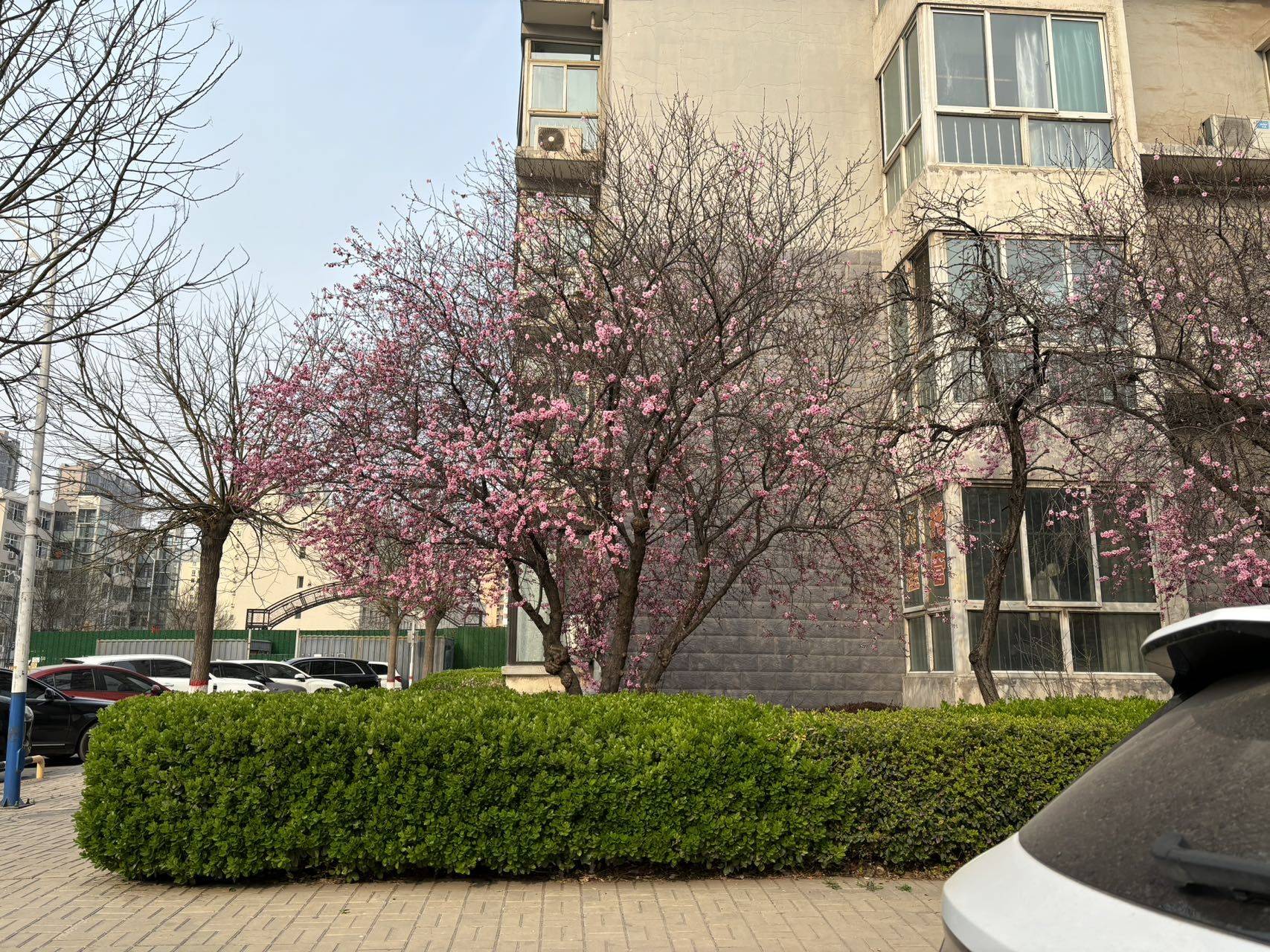 小店 北张住宅小区