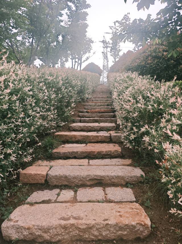 李沧 海怡新城锦彩苑-2号楼