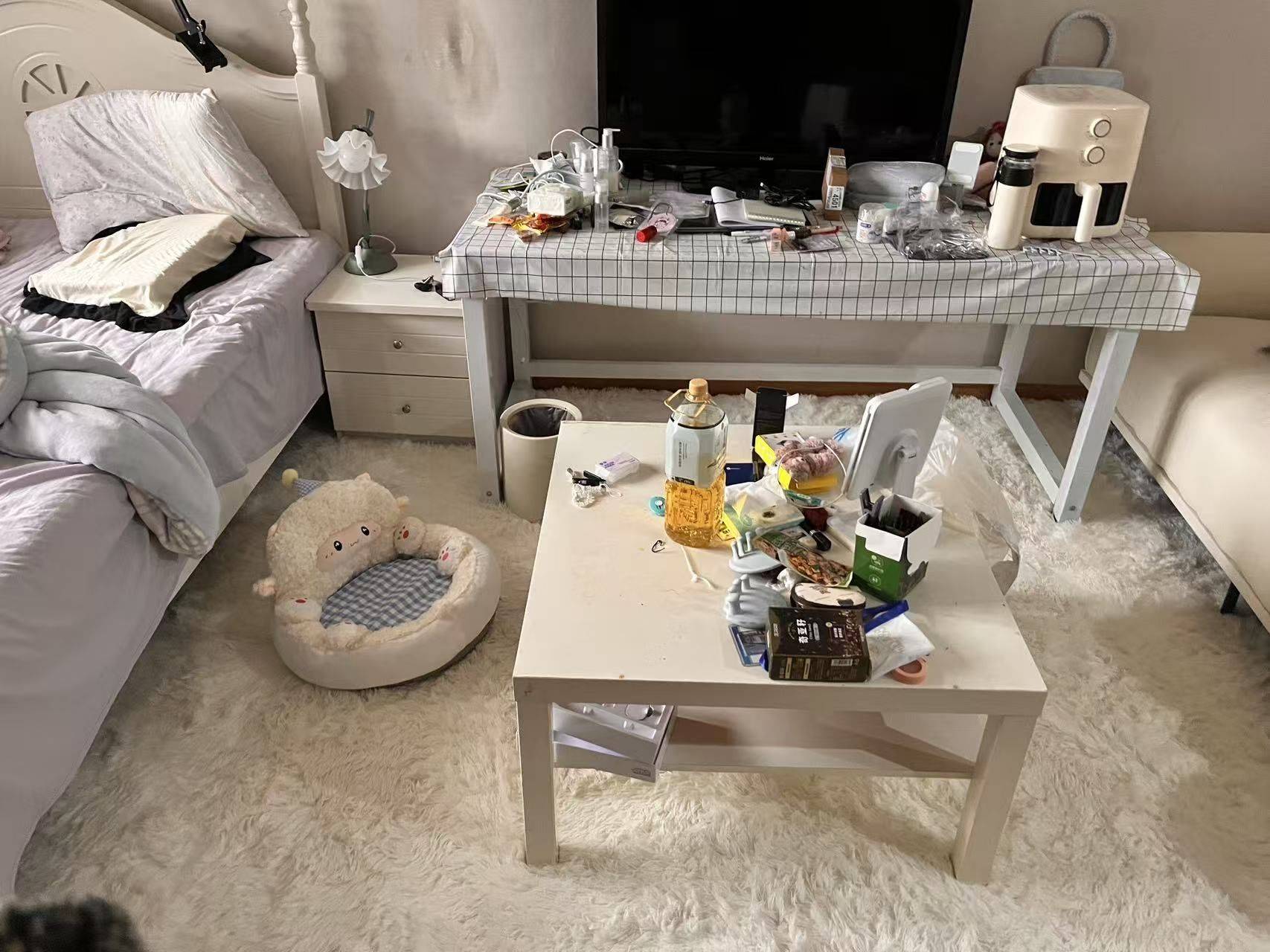 青羊 时代凯悦