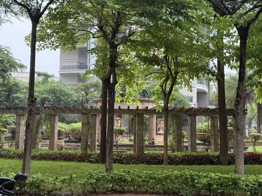 Shenzhen Yantian | 精茂滨海花园_3
