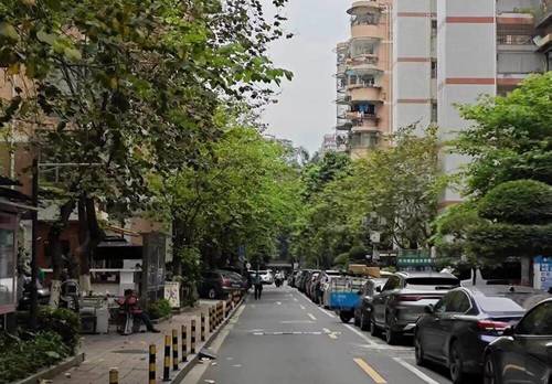 天河 育蕾小区