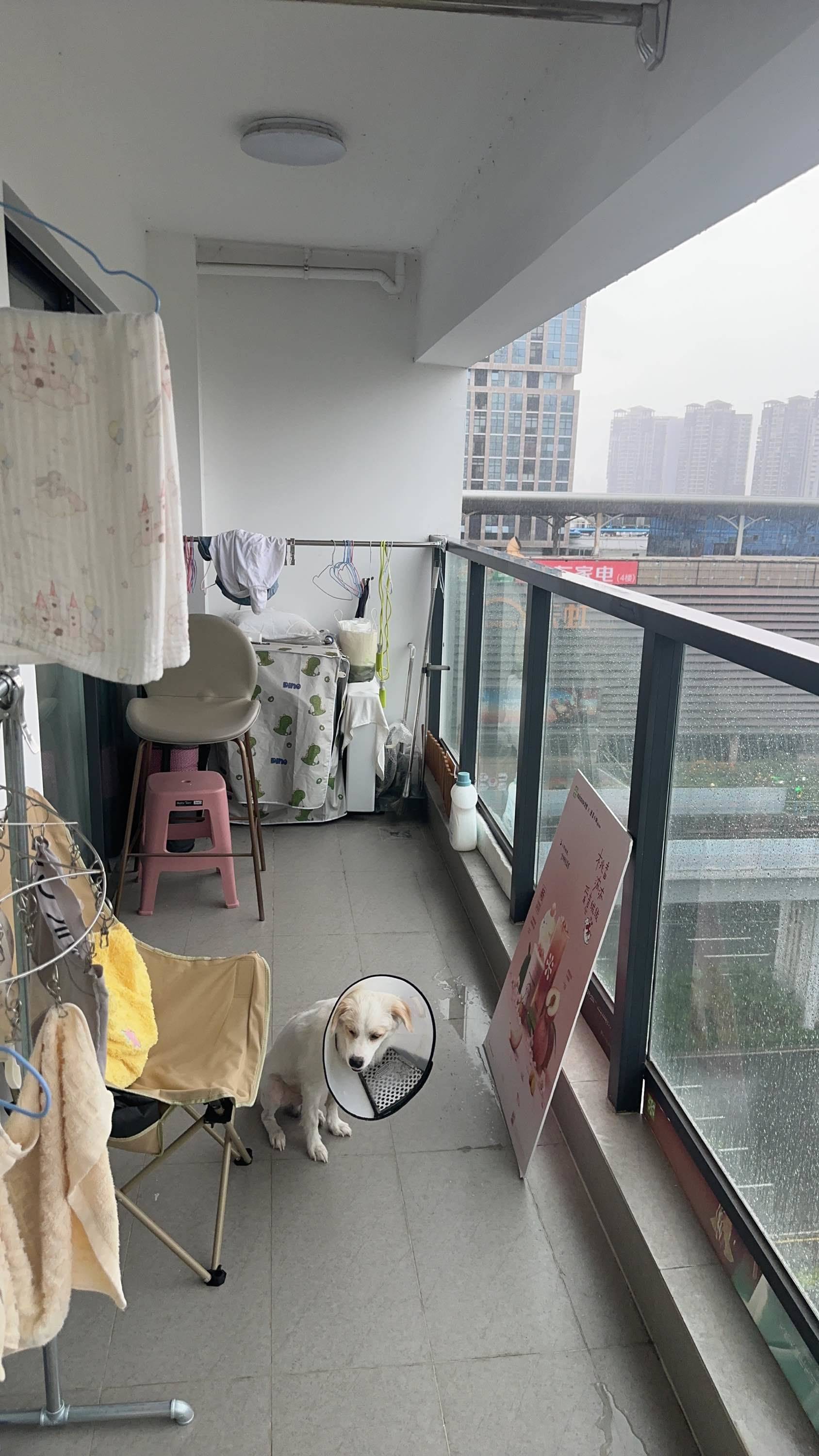 Zhuhai Xiangzhou | 路福星光上轩_3