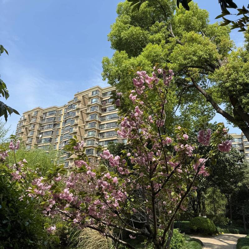 Shanghai Songjiang | 九城湖滨-73号楼_4