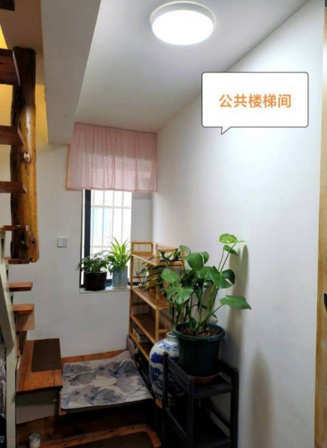 Shanghai Baoshan | 大华路901弄-24号楼_3