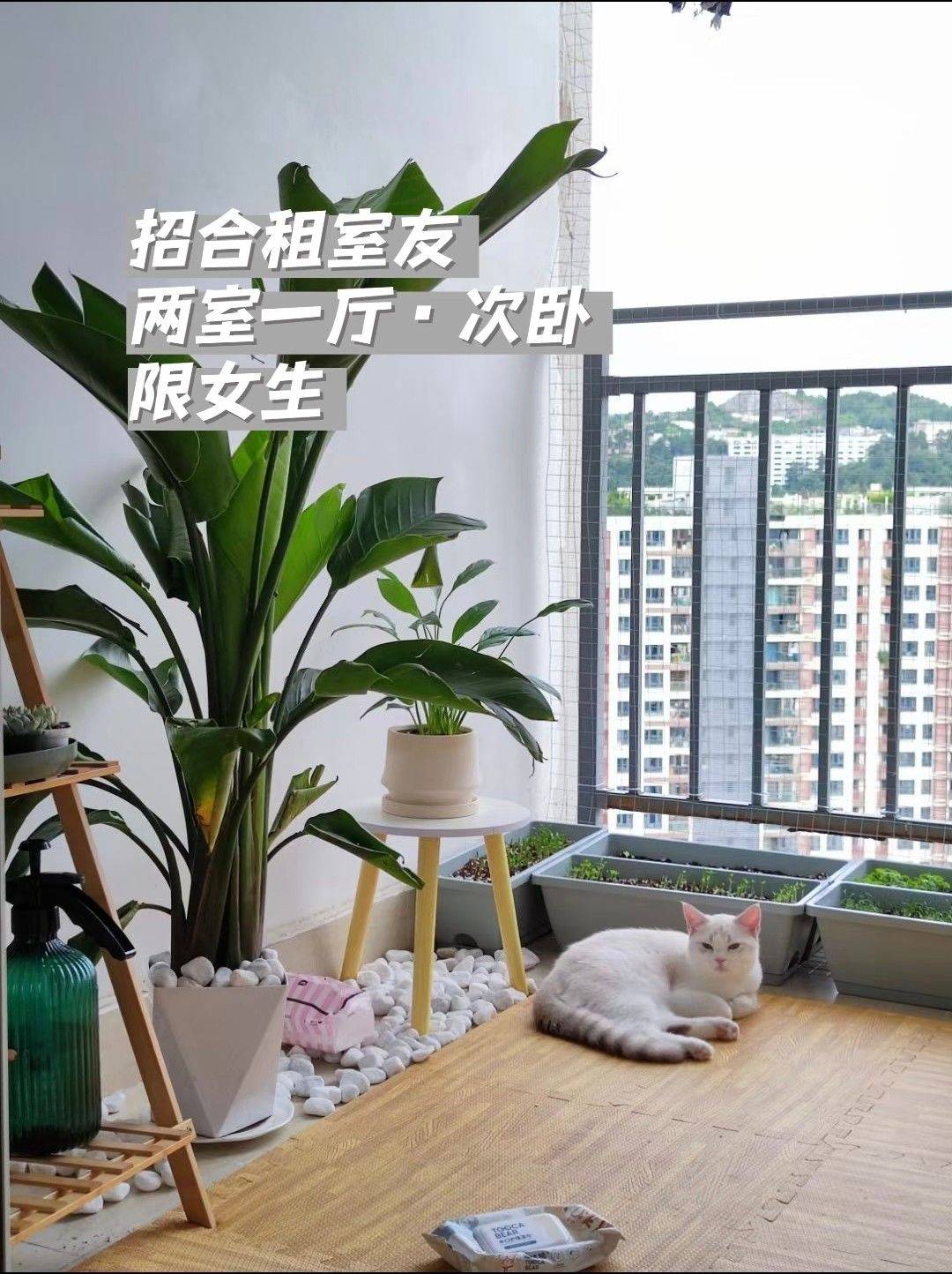 雲巖 渔安新城E组团-3栋