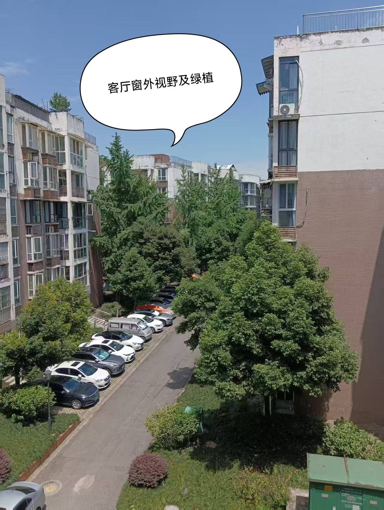 Chengdu Chenghua | 荆竹小区8号院-1栋_6