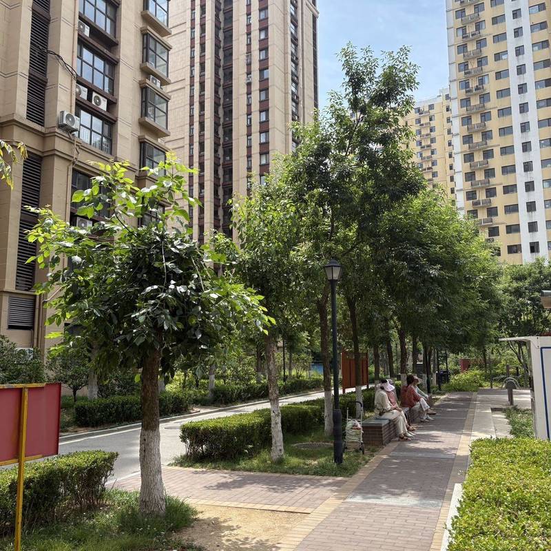 Qingdao Shibei | 鑫源向上_3