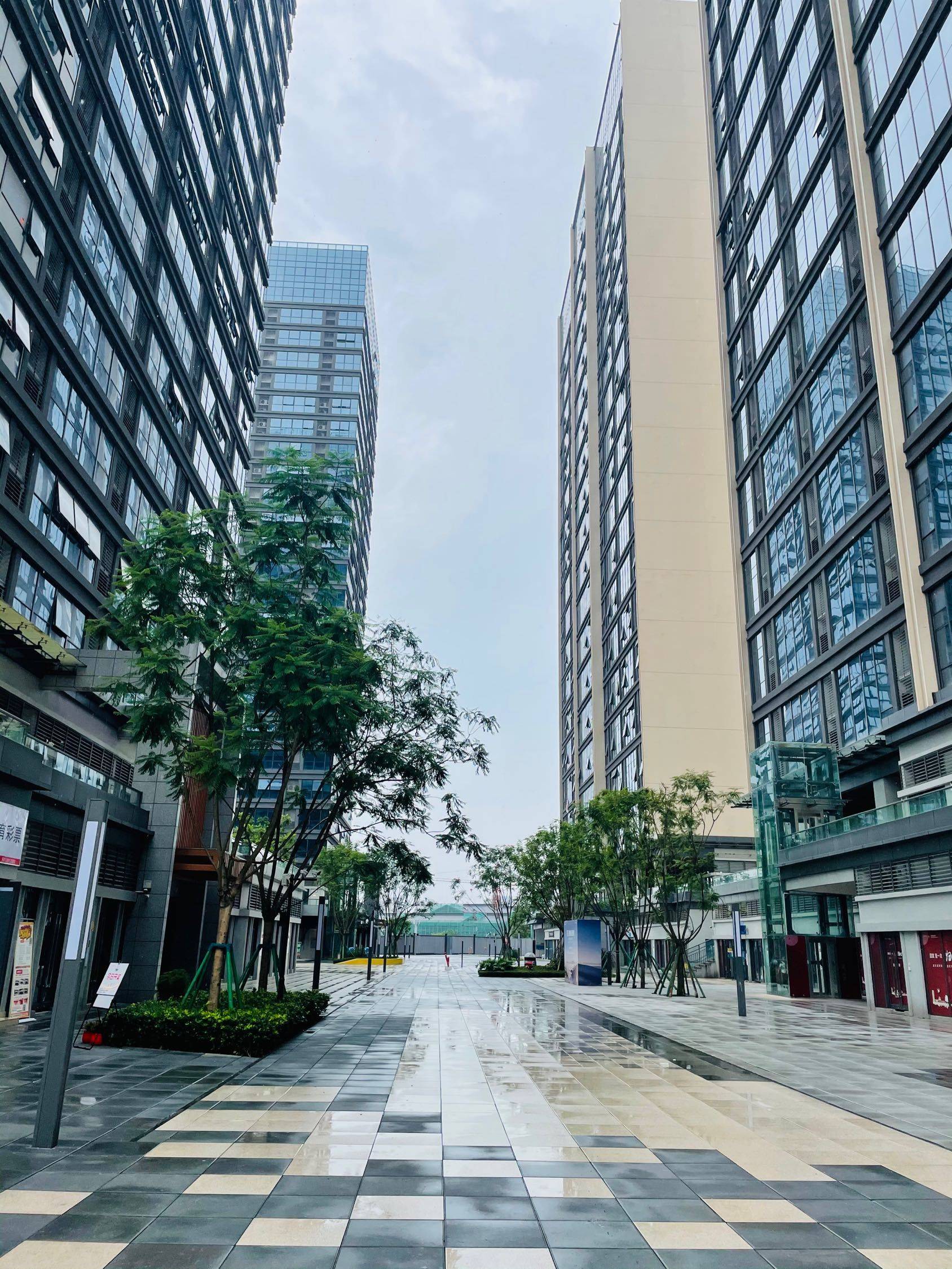 Chongqing Liangjiang New Area | 国博天地_8