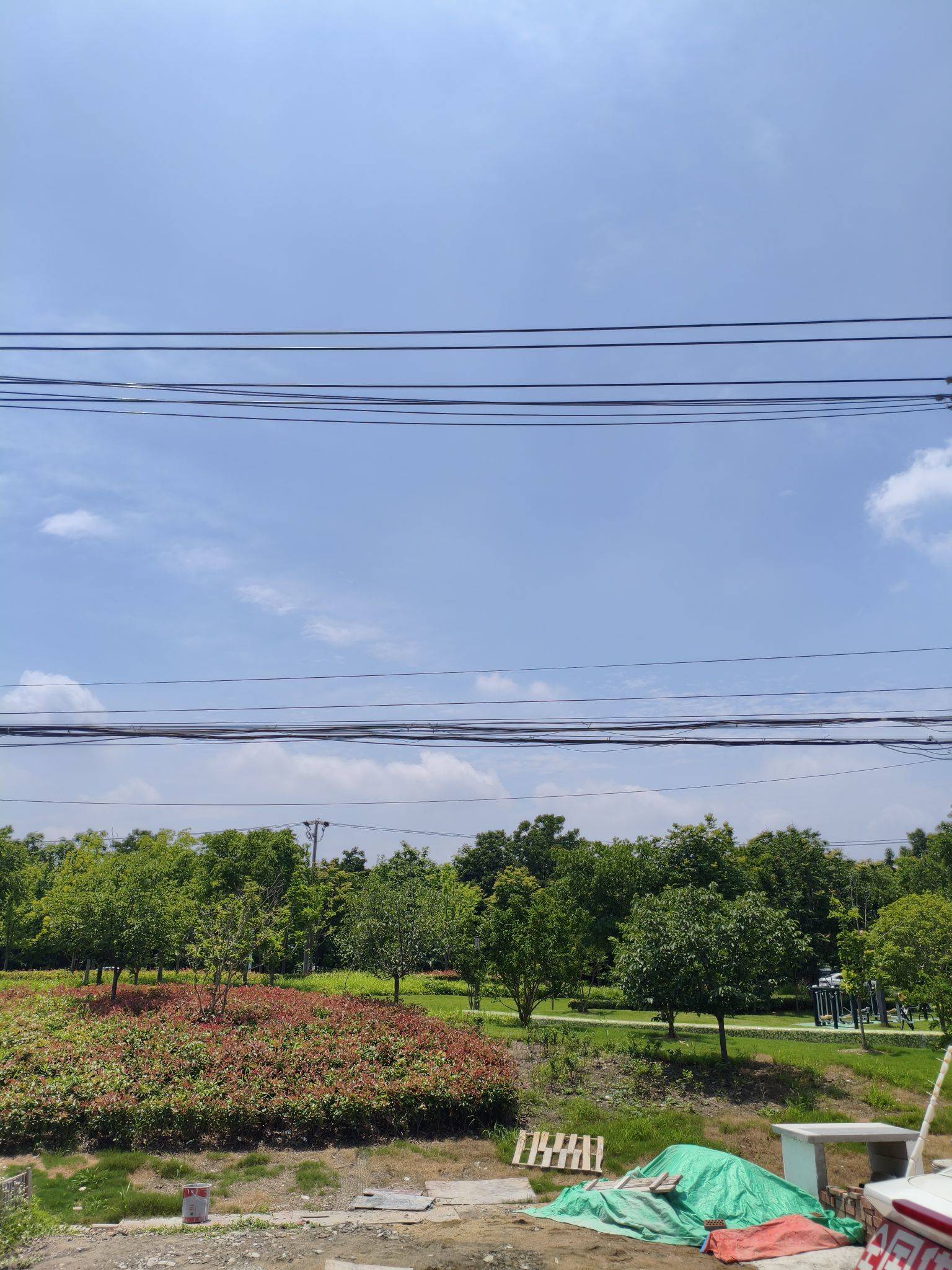 Shanghai Fengxian | 奉贤区西渡街道灯塔村洪宝907号_5