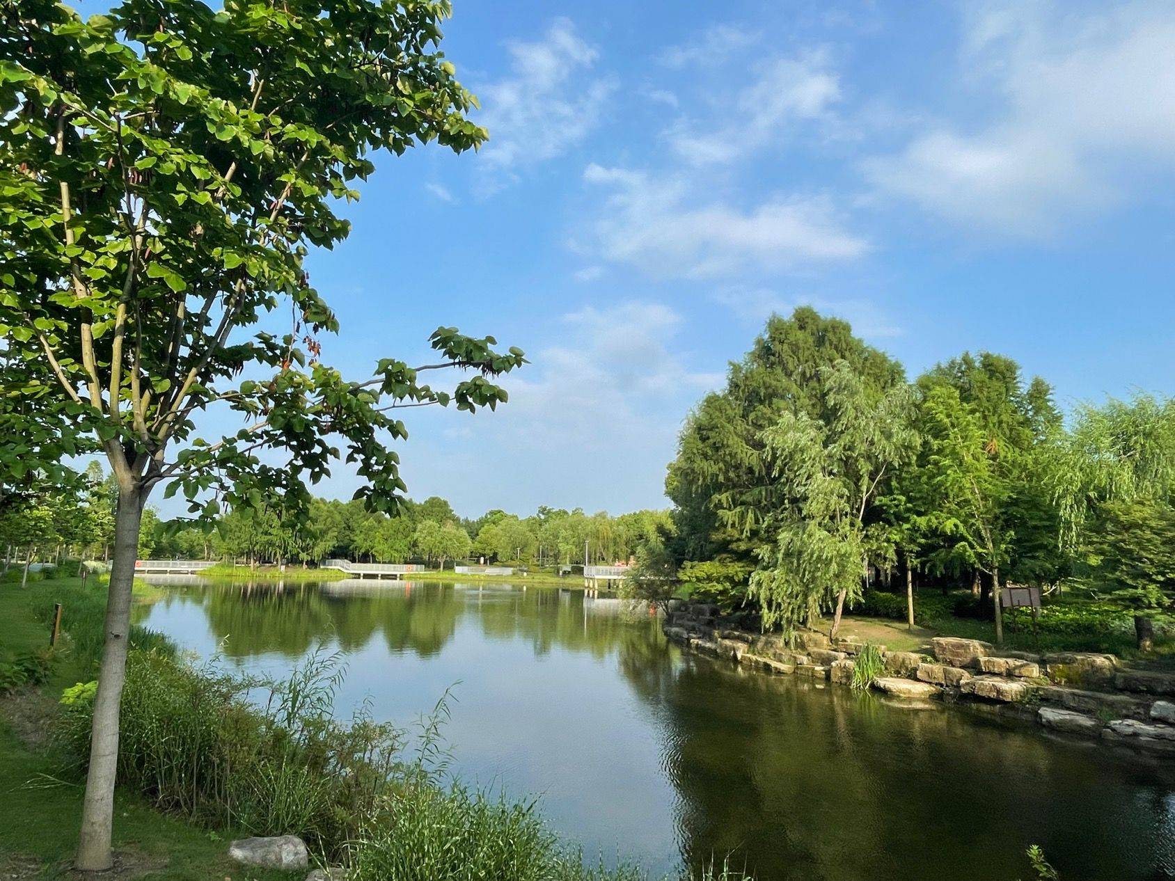 浦东 博学家园